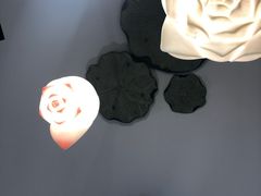 -印象江南(东栅店)