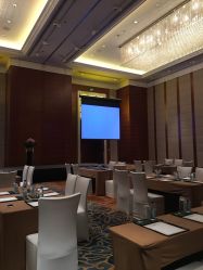 点击看大图 -上海雅居乐万豪侯爵酒店·宴会厅