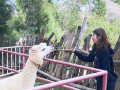 -汕尾铜鼎山旅游区