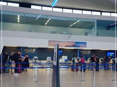 -纽瓦克自由国际机场