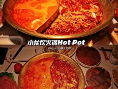 番茄鸳鸯太极锅-小龙坎火锅(IFS HOT店)