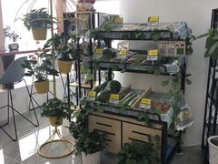 -洄归山也·高空C位湖景下午茶(东方之门店)