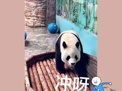 -石家庄市动物园