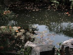 -耦园