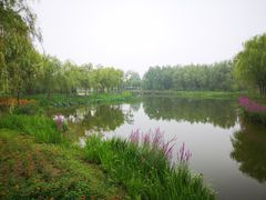 -东郊湿地公园