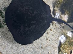 -嘉兴海底世界
