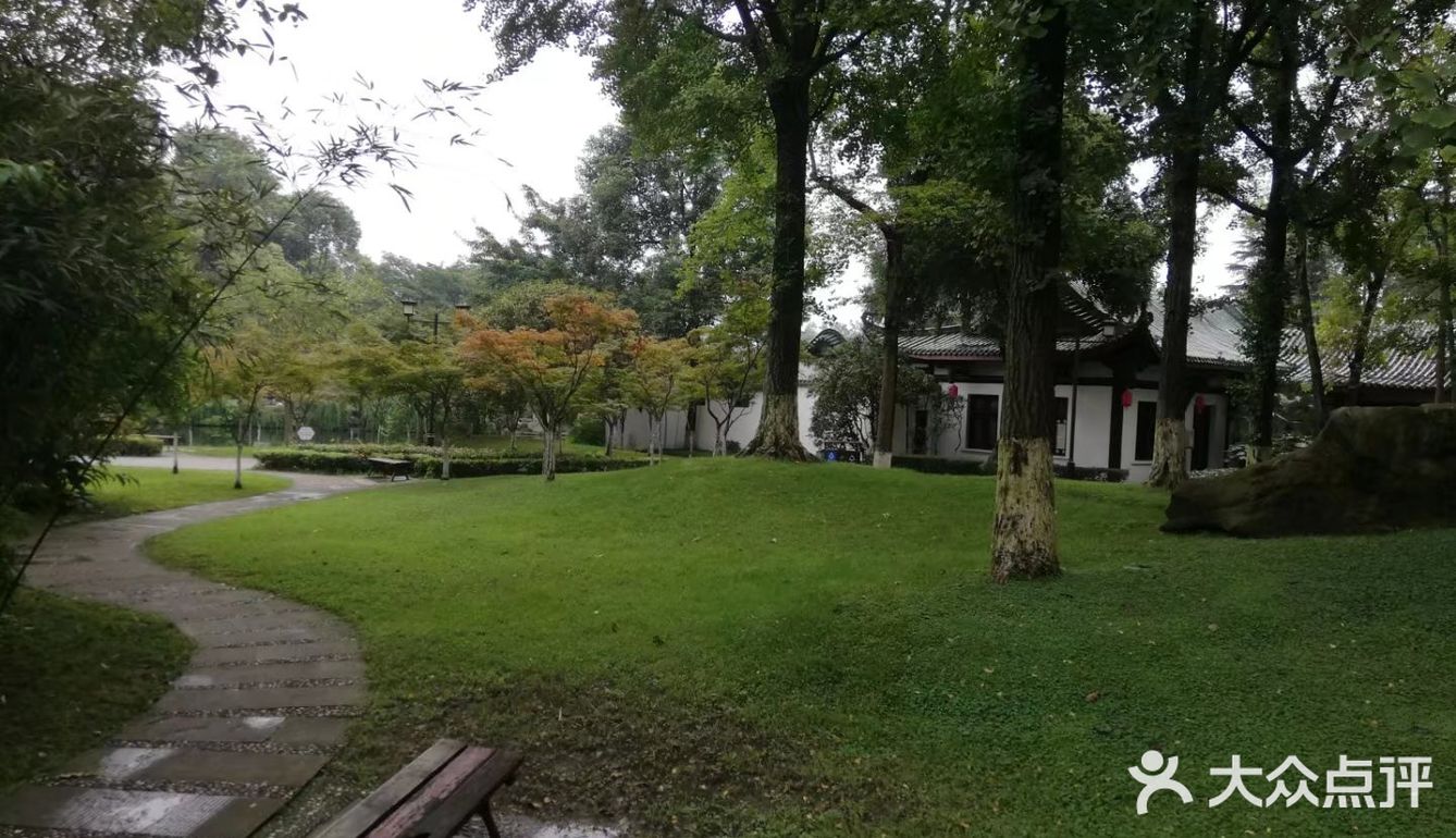 一个人在桂湖森林公园坐着发呆……