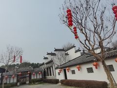 -武汉紫薇都市田园