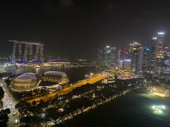 -新加坡瑞士史丹福酒店