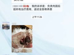 -瑞鹏宠物医院·内科·中兽医·骨科(苗圃店)
