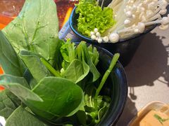 -渡娘火锅(大兴大悦春风里店)