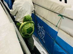 -绍兴启迪乔波冰雪世界