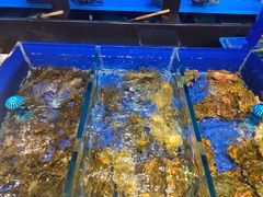 水产区-金时代顺风大酒店(临港百联店)