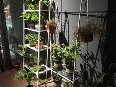 门面-Primo·丽莫意大利窑烤披萨