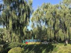 -莫子山公园