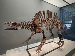 -湖南省地质博物馆