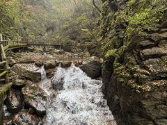 -牛背梁国家森林公园