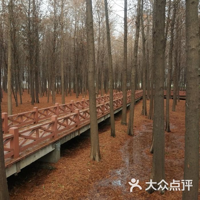 康桥生态园沔西绿地