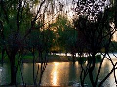 -华东政法大学(松江校区)