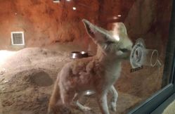 -酷嗒动物文化乐园(cutezoo西溪乐天城店)