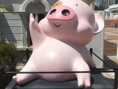 -九龙公园