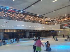 -TheRink大零溜冰场(IFS国金中心店)