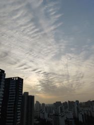 -蔓馨宜母婴护理中心(橡树星座店)