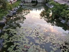 -珠海圆明新园