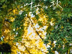 -四川大学(华西校区)