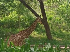-北京野生动物园