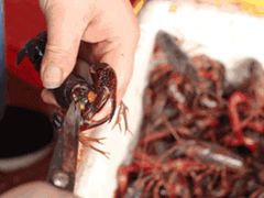 -一起吃小龙虾·海鲜(海珠店)