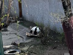 -沈阳森林动物园