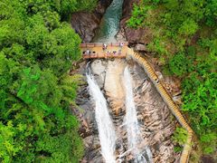 -广州白江湖森林公园