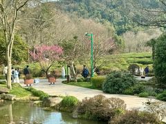 -中国茶叶博物馆(双峰馆区)
