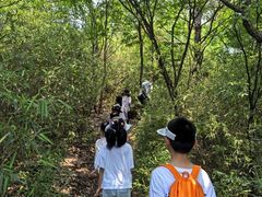 -白马涧龙池景区