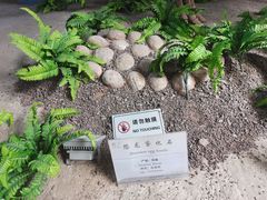 -延庆地质公园博物馆