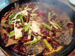 -老板恋上鱼(恒隆广场店)