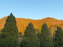 -北京十三陵国家森林公园蟒山景区