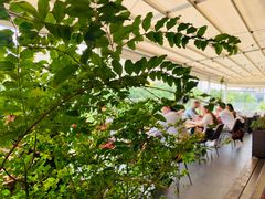 -TOMATITO(无限极荟店)