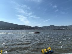 -海埂大坝