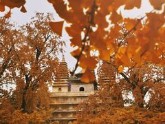 -北京石刻艺术博物馆(五塔寺)