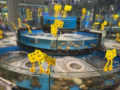 -丁字口海鲜热炒·烧烤大排档