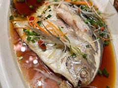 -阿英煲(凉城路店)