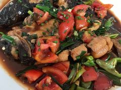 遇龙河剑骨鱼—阳朔特色啤酒鱼-生态苑农庄(十里画廊遇龙河店)