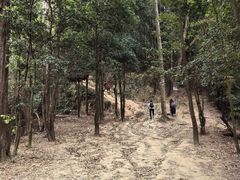 -火炉山森林公园
