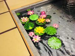 -汤泉良子(金源店)