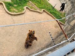 -无锡动物园·太湖欢乐园