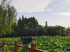 -黄兴公园