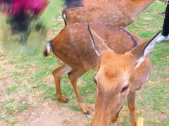 -赛汗塔拉风情园