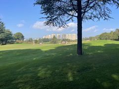 -阳光高尔夫俱乐部